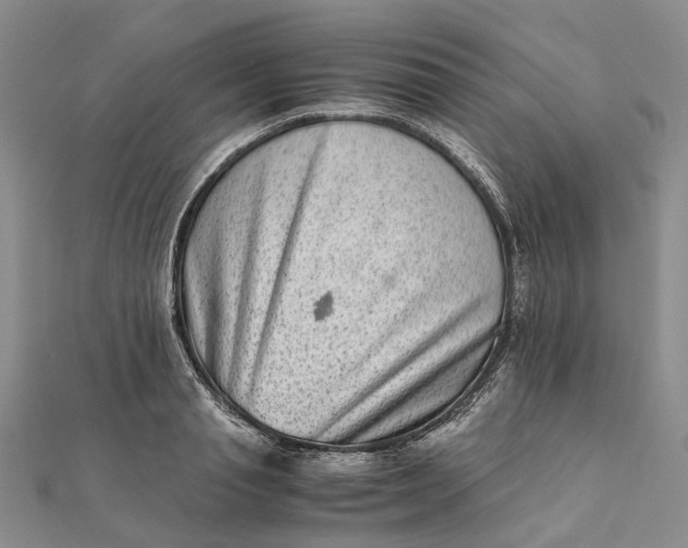 X0000111920845200908101219