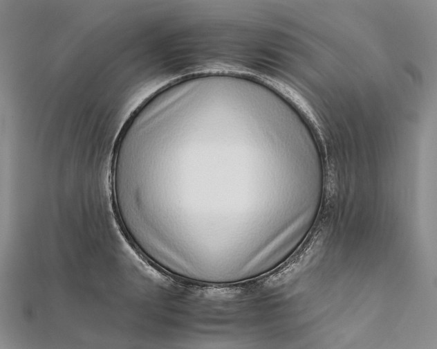 X0000111920847200908101219