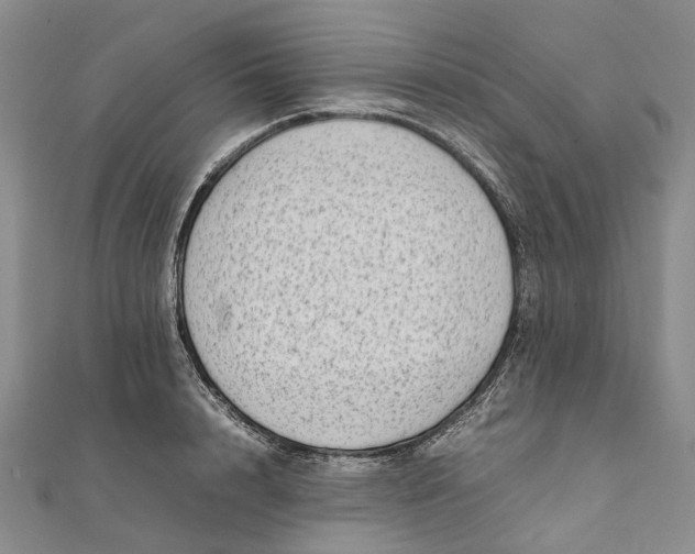 X0000111920848200908101219