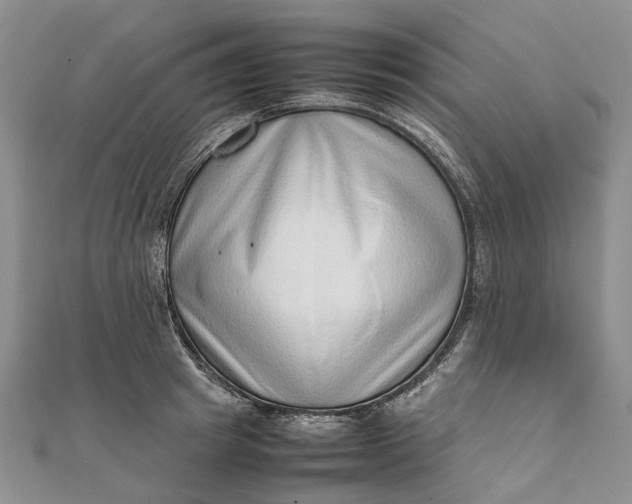 X0000111920849200908101220