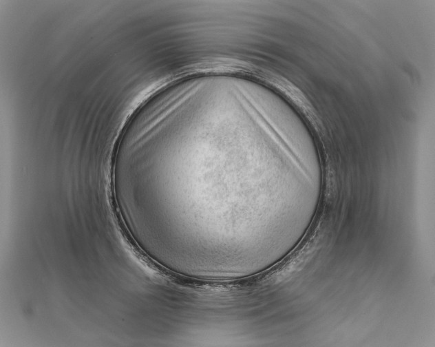 X0000111920850200908101220