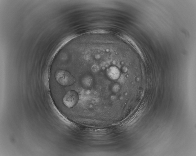 X0000111920851200908101220