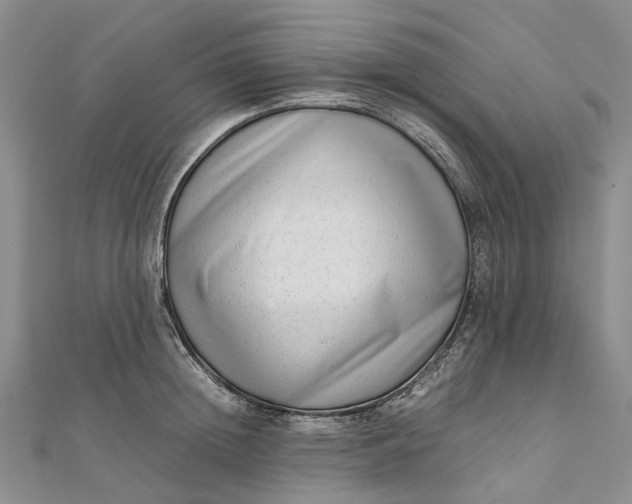 X0000111920852200908101220