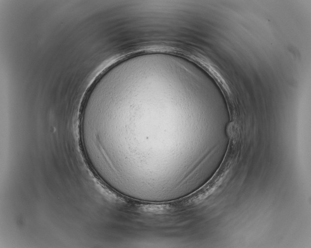 X0000111920853200908101220