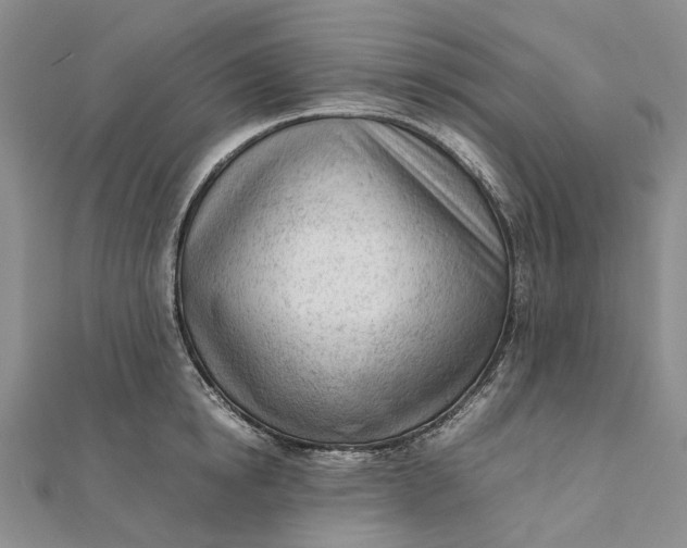 X0000111920854200908101220