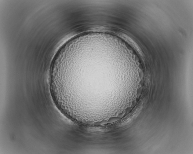 X0000111920855200908101220