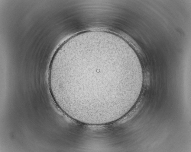 X0000111920856200908101220