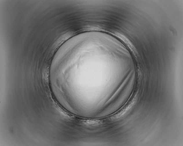 X0000111920857200908101220