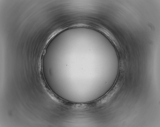 X0000111920858200908101220