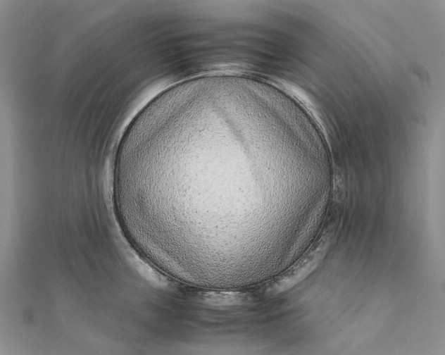 X0000111920859200908101220