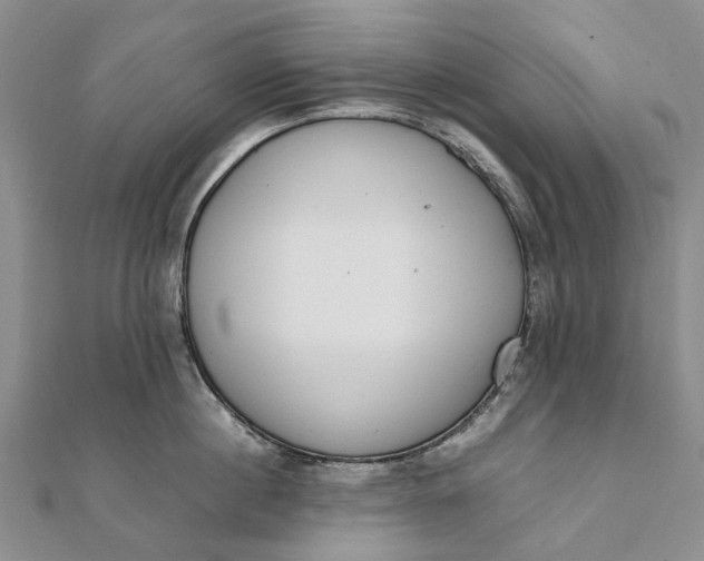 X0000111920860200908101220