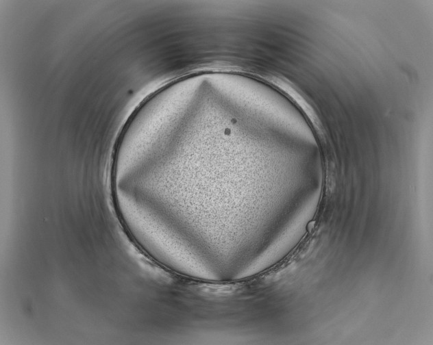 X0000111920861200908101220