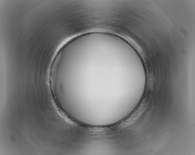 X0000111920862200908101220