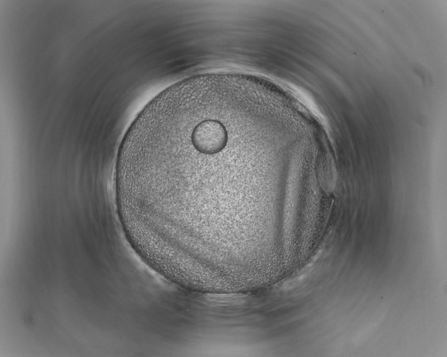 X0000111920863200908101220