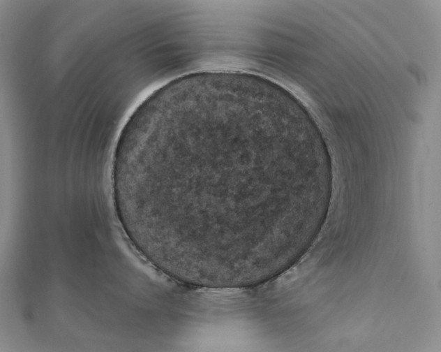 X0000111920864200908101220