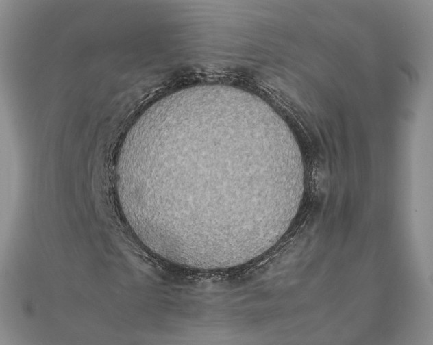 X0000111920865200908101219