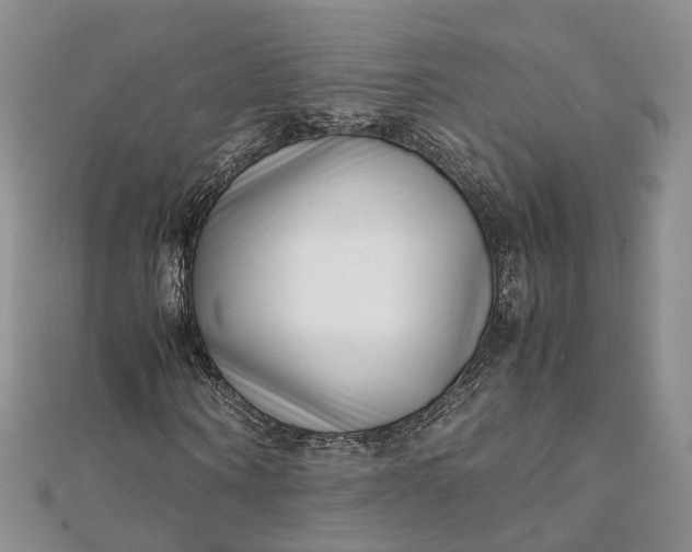 X0000111920866200908101219