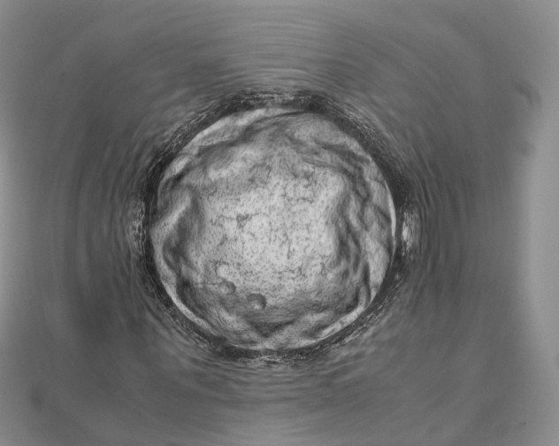 X0000111920867200908101219