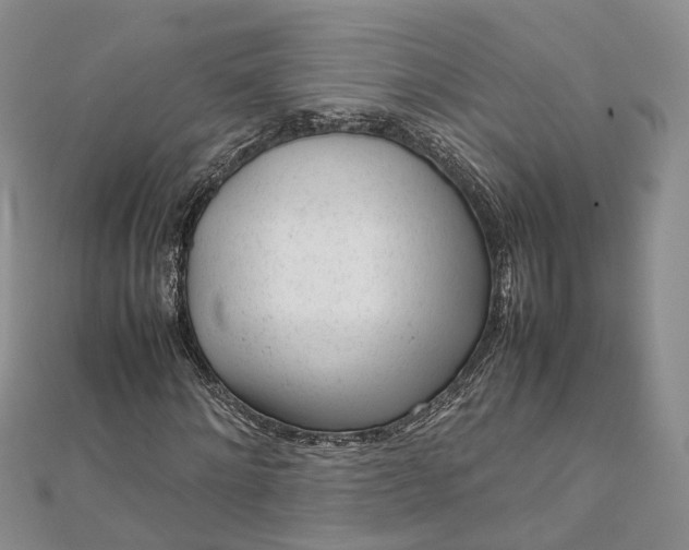 X0000111920868200908101219