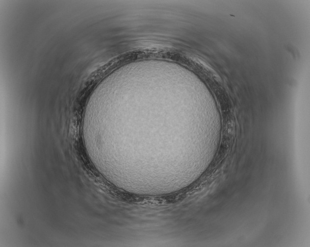 X0000111920869200908101219