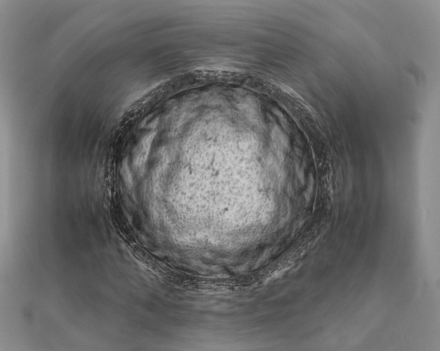 X0000111920870200908101219