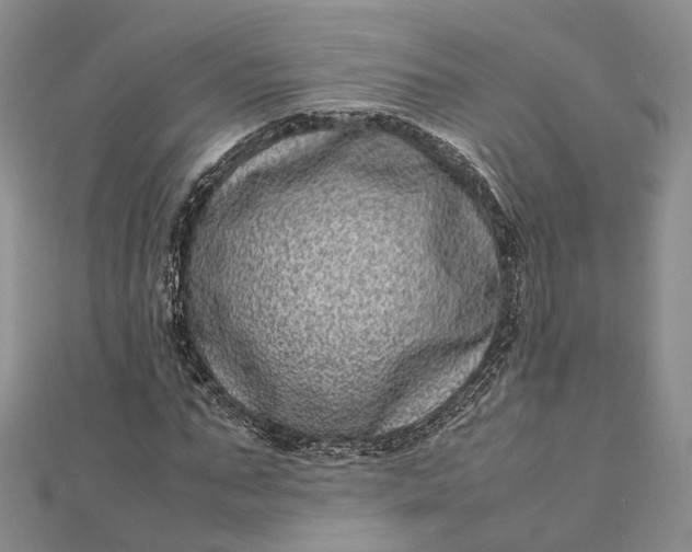 X0000111920871200908101219