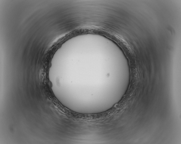 X0000111920872200908101219