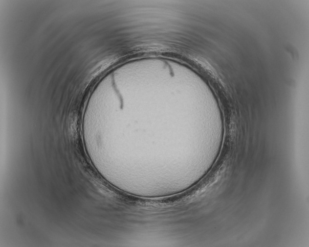 X0000111920873200908101219