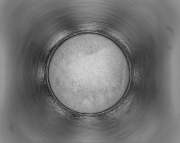 X0000111920874200908101219