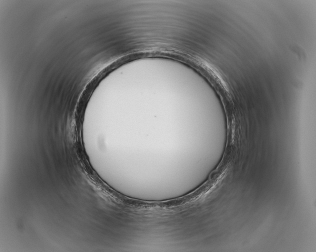 X0000111920876200908101219