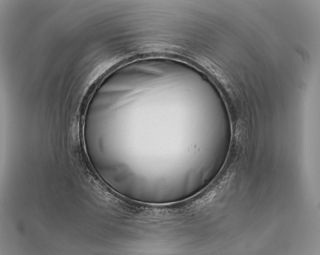 X0000111920877200908101219