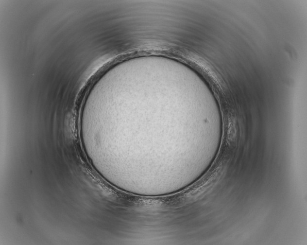 X0000111920878200908101219