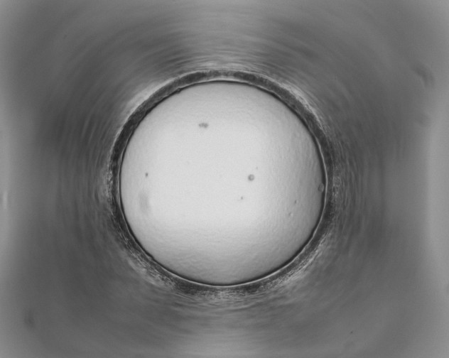 X0000111920879200908101219