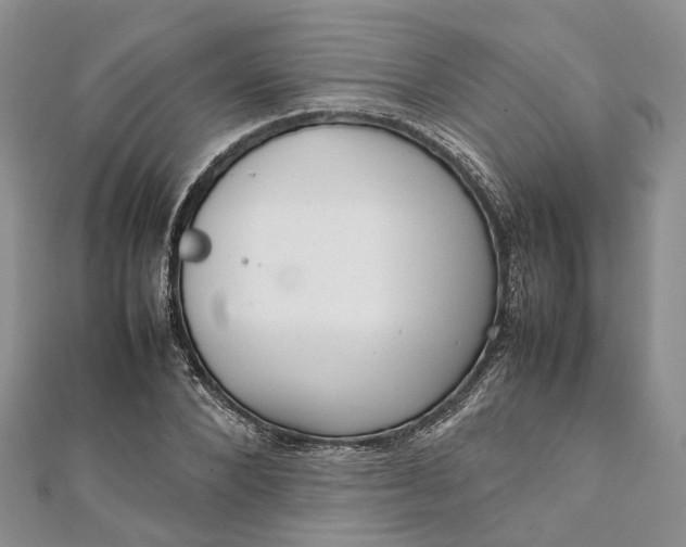 X0000111920880200908101219