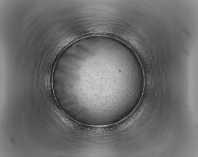 X0000111920881200908101219