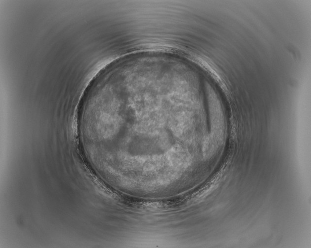 X0000111920883200908101219