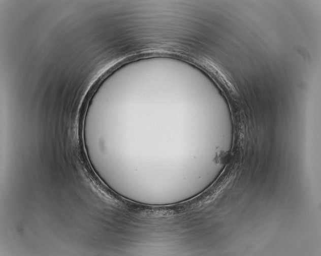 X0000111920884200908101219