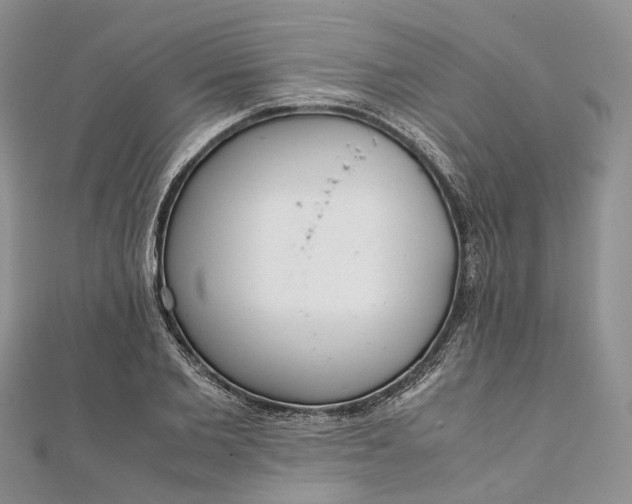 X0000111920885200908101219