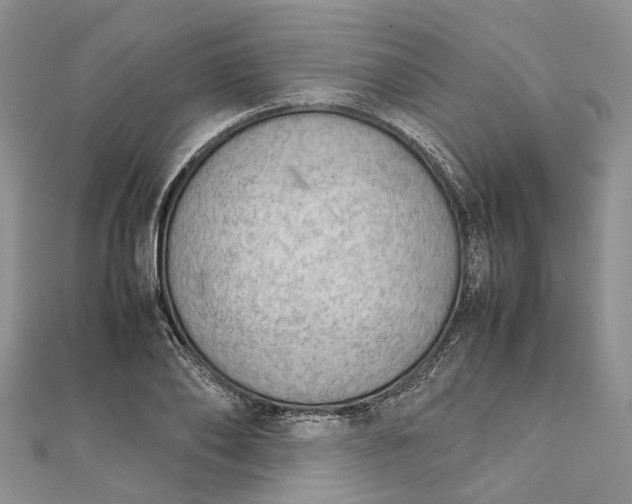 X0000111920886200908101219