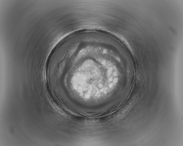 X0000111920887200908101219