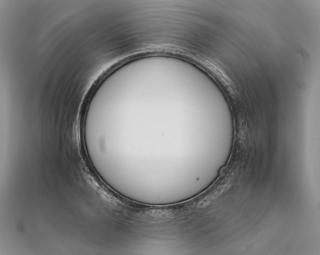 X0000111920888200908101219