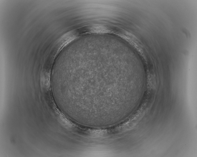 X0000111920889200908101219