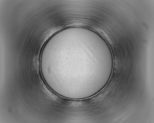 X0000111920890200908101219