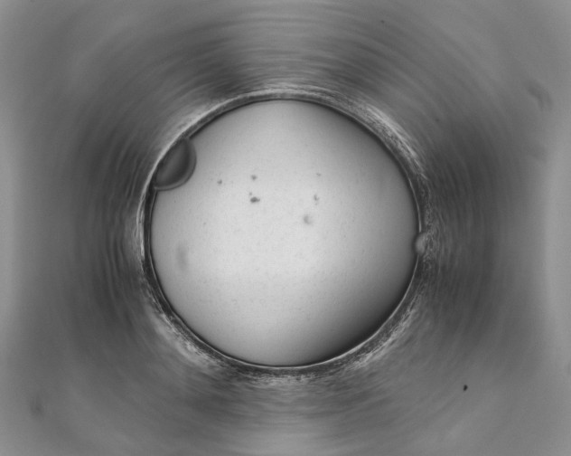 X0000111920892200908101219