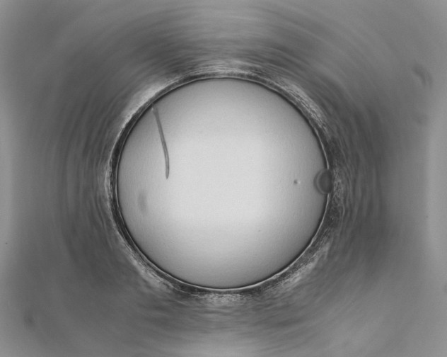 X0000111920893200908101219