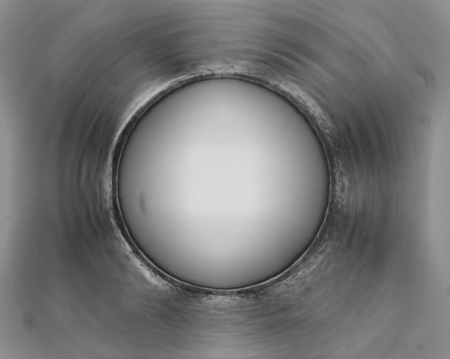 X0000111920894200908101219