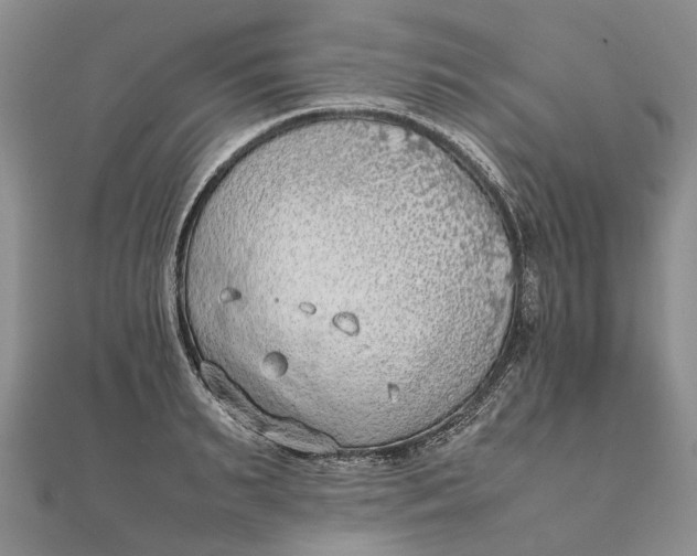 X0000111920895200908101219