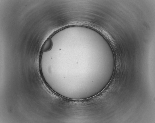 X0000111920896200908101219