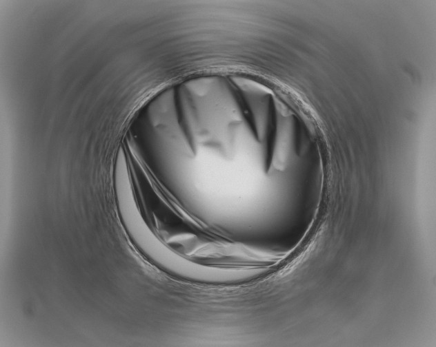 X0000111920897200908101219