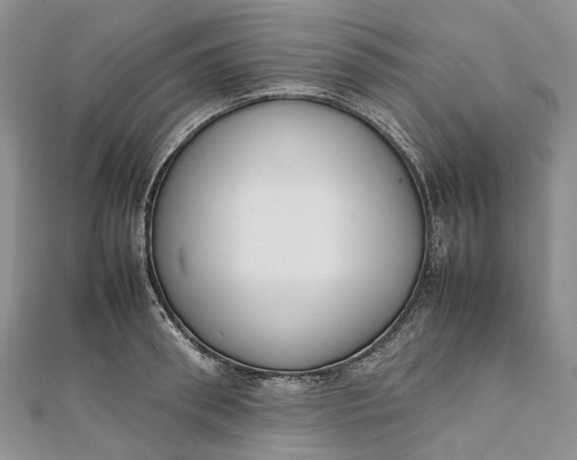 X0000111920898200908101219